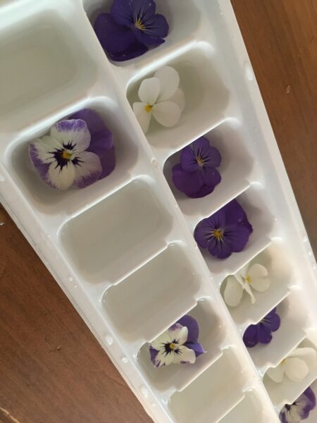 IMG_3268 – Agro-Passion